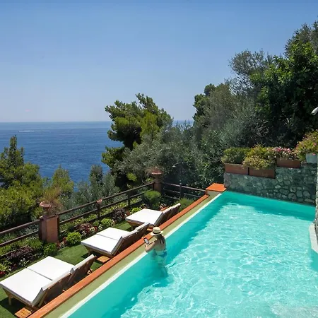 Corallium 4*